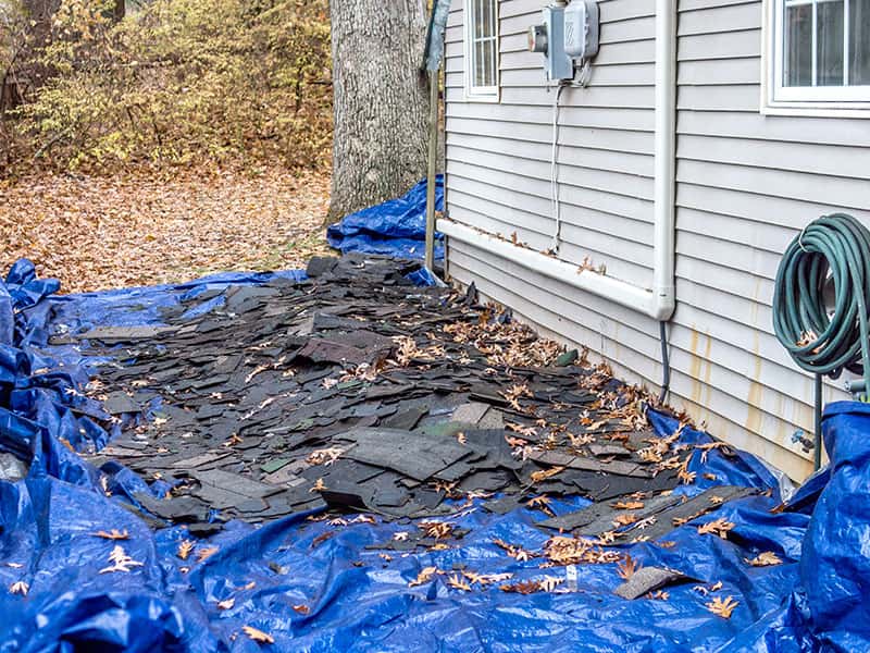 Exterior Clean-Up