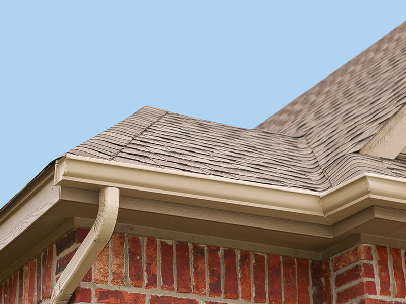 Gutter Cleaning