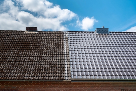 How high humidity accelerates black algae damage to shingles across maryland